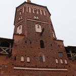 Мирский замок (Замок Ильиничей-Радзивиллов) (Мир), февраль 2016