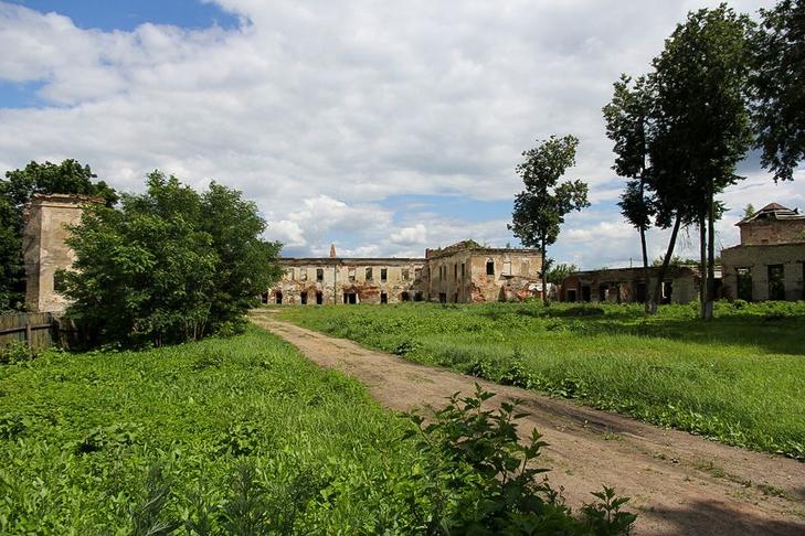 Быховский замок (замок Ходкевичей и Сапег)