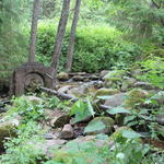 Водяная мельница (Яцыны), июнь 2015