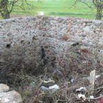 Усадьба Моравских: ледовня? (Заушье), май 2013