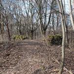 Замок Гаштольдов (Геранены), апрель 2012