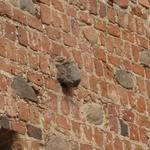 Мирский замок (Замок Ильиничей-Радзивиллов) (Мир), август 2011