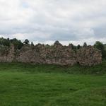 Кревский замок (Замок Ольгерда) (Крево), июнь 2010