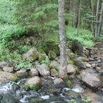 Водяная мельница (Яцыны), июнь 2015