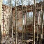 Усадьба Хоминских: усадебный дом (Ольшево), апрель 2012