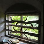 Усадьба Милашевских: конюшня (Близная), июль 2012