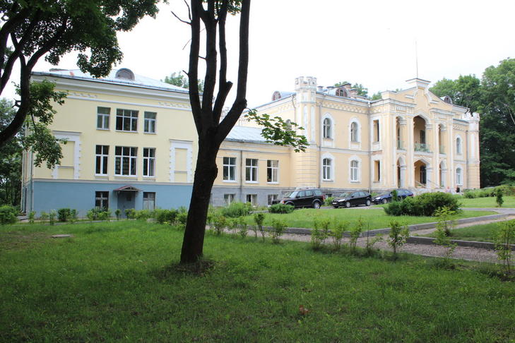 Усадьба Чапских: дворец