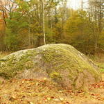 Валун Янки Купалы (Хоруженцы), октябрь 2016